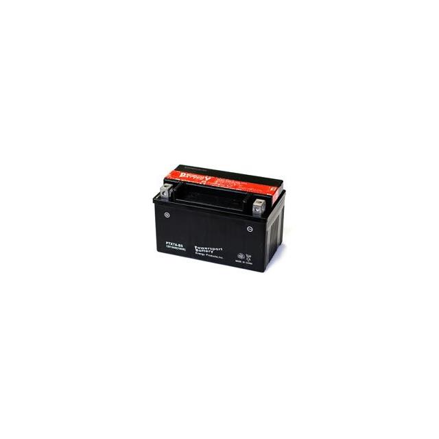 Interlight EX250 250CC MOTORCYCLE   BATTERY